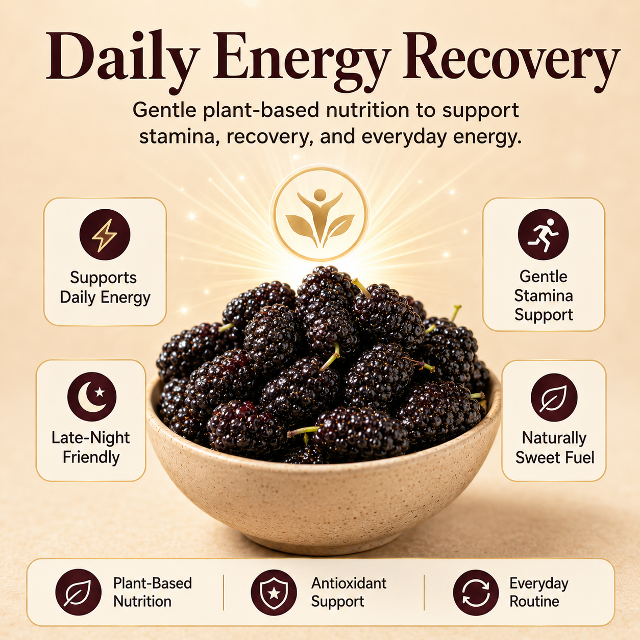 Dried Mulberries – Naturally Sweet Soft & Chewy Dark Berry Snack-JXX