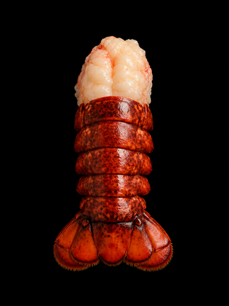 Fresh lobster tail meat with shell-Zack