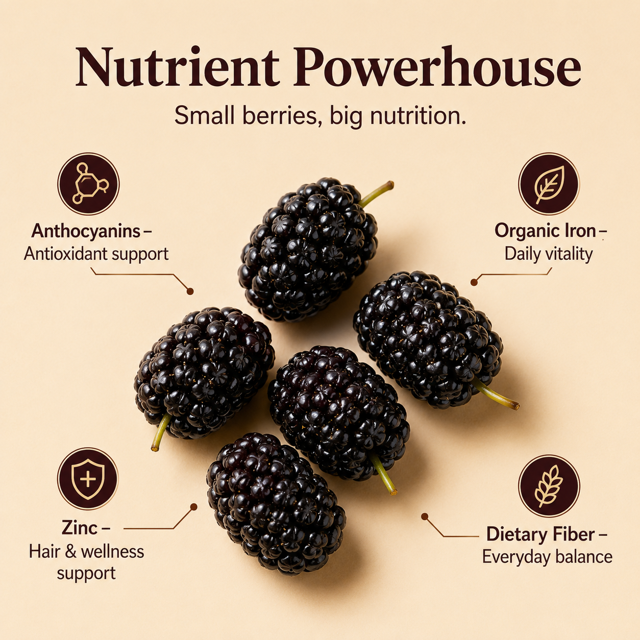 Dried Mulberries – Naturally Sweet Soft & Chewy Dark Berry Snack-JXX