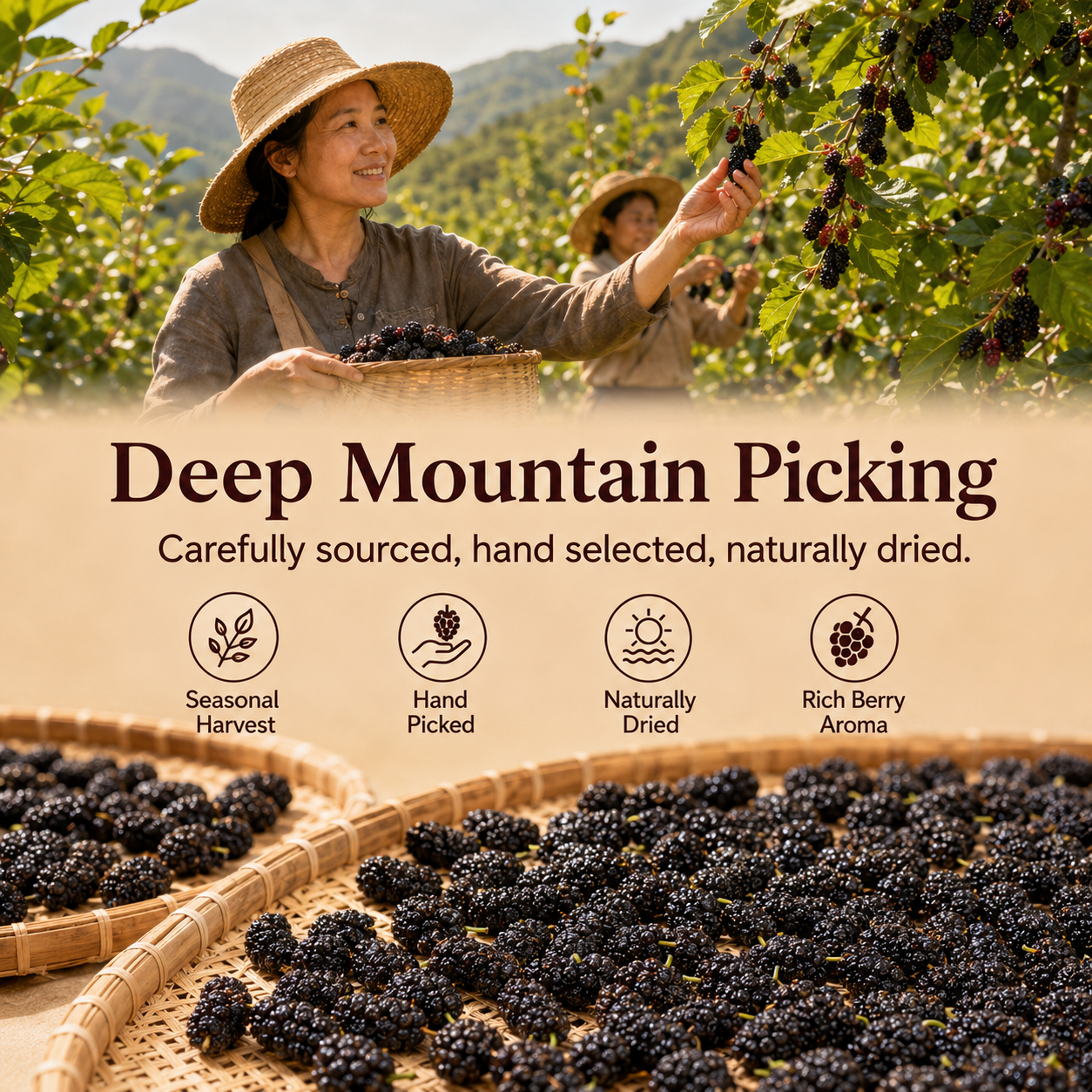 Dried Mulberries – Naturally Sweet Soft & Chewy Dark Berry Snack-JXX