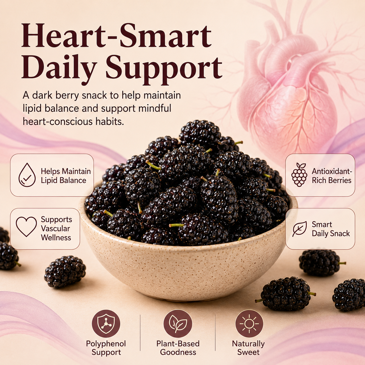 Dried Mulberries – Naturally Sweet Soft & Chewy Dark Berry Snack-JXX