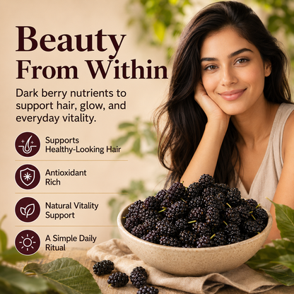 Dried Mulberries – Naturally Sweet Soft & Chewy Dark Berry Snack-JXX